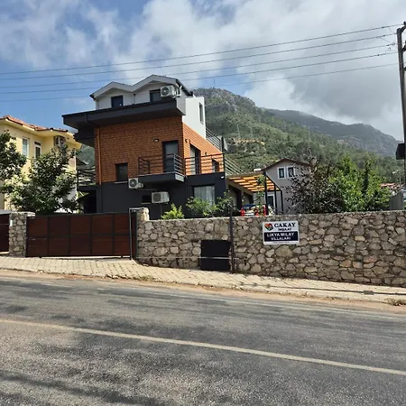 Enjoy A Vacation In Luxury With Swimming Pool Likya Milay Fethiye